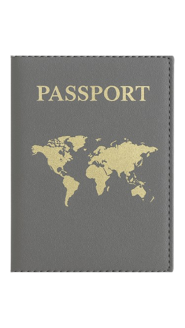Protège passeport gris