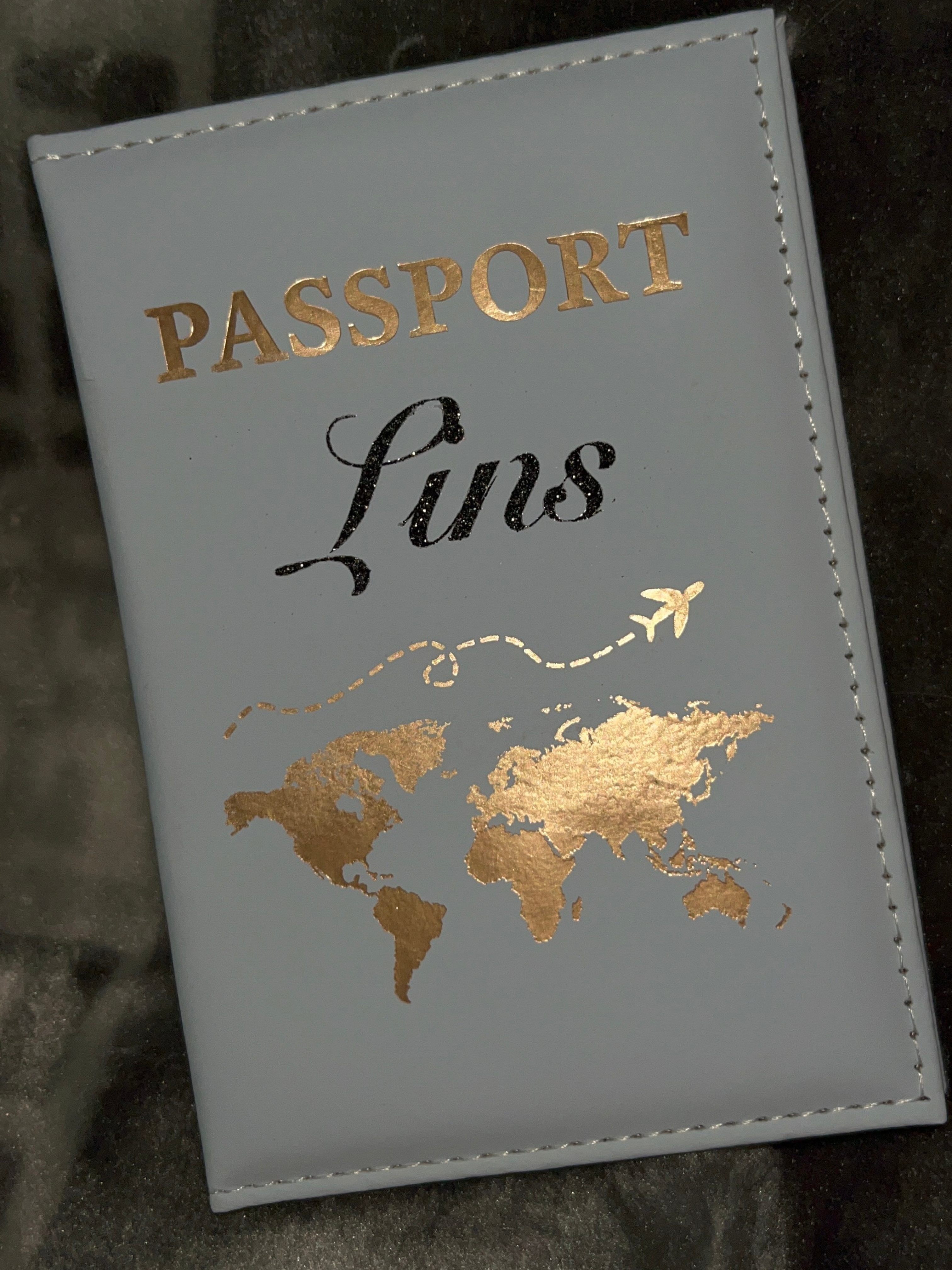 Protège passeport bleu ciel